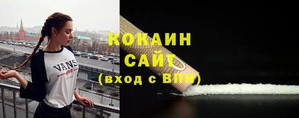 дживик Арсеньев