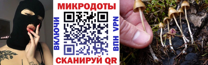 даркнет сайт  Протвино  Псилоцибиновые грибы мицелий 